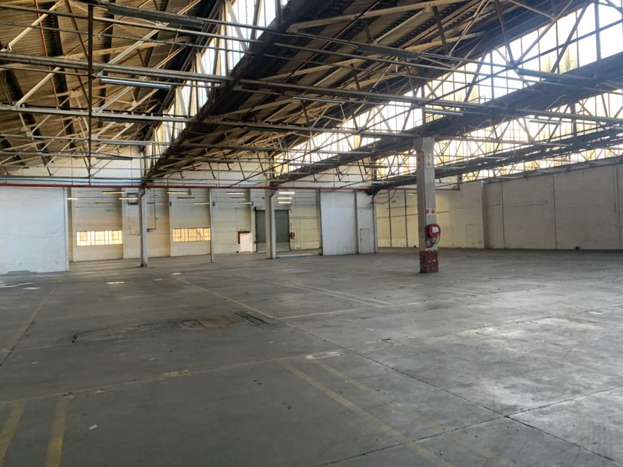 To Let commercial Property for Rent in Blackheath Western Cape